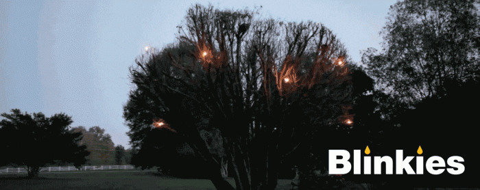 Blinkies-Animation.gif