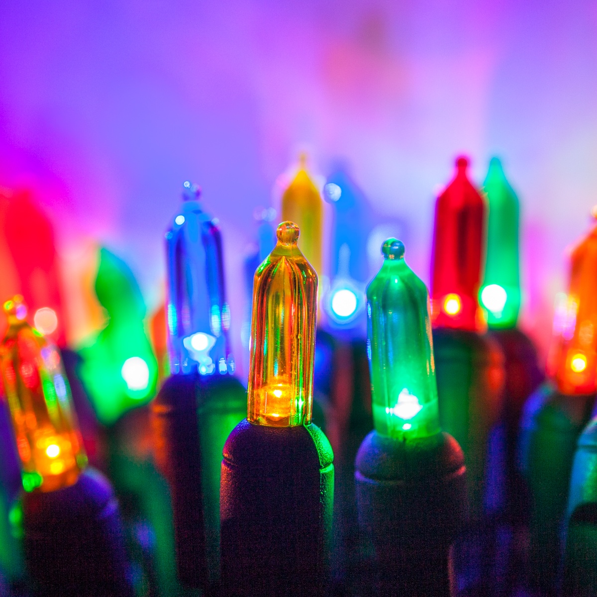 Multicolor-T5-LED-Mini-Lights-6968.jpg