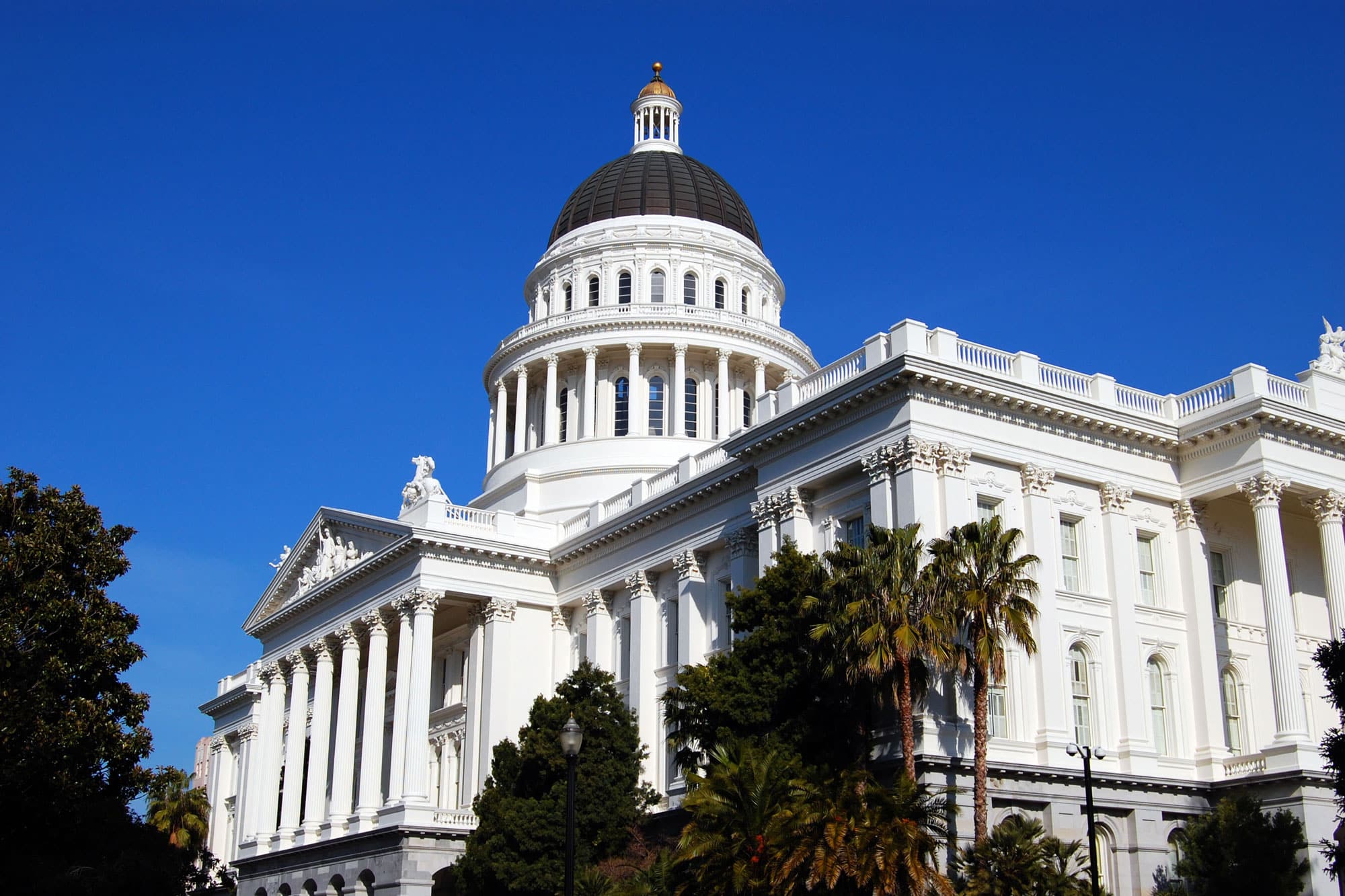 california-state-capitol-survey-cag.jpg